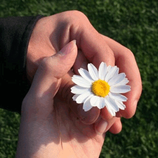 Sıla